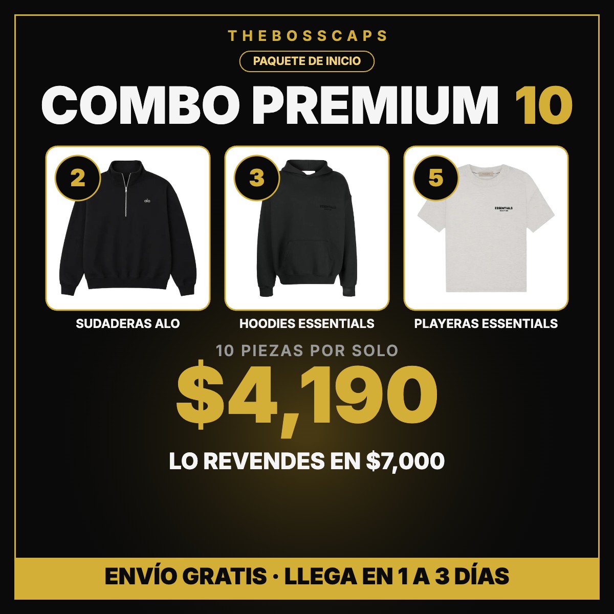 Flyer Combo Premium 10