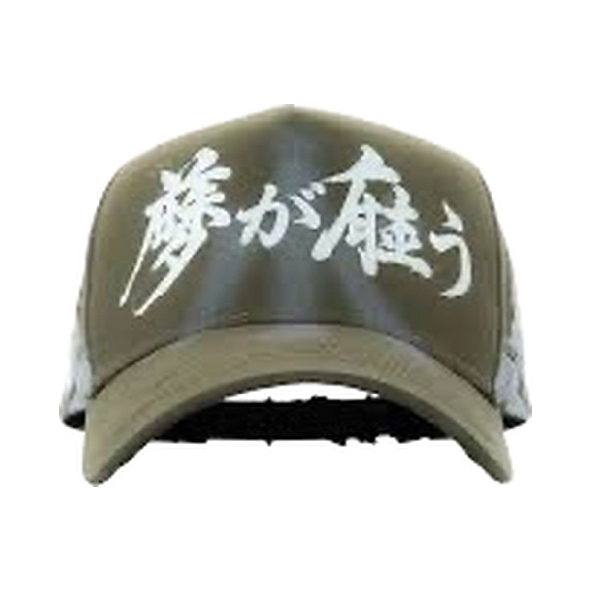 Koi Olive