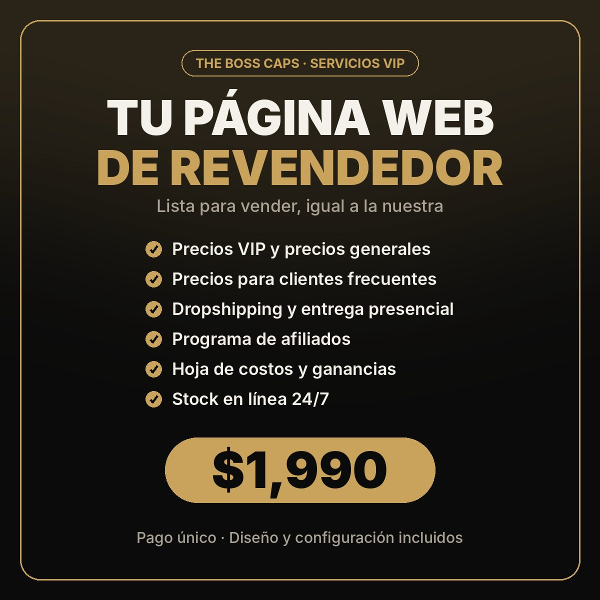 Página web para revendedores TheBossCaps $1,990