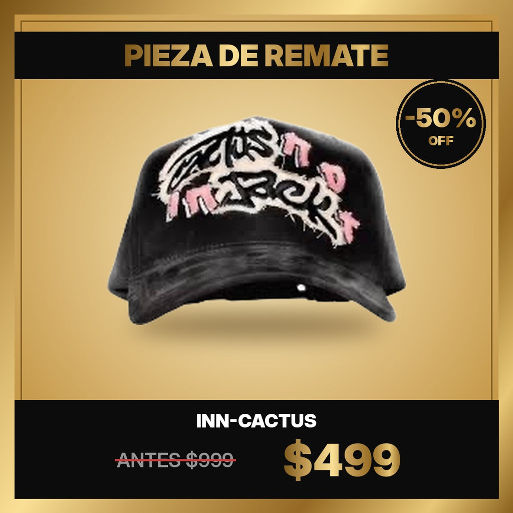 Innedit Inn-Cactus