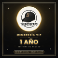 Membresia VIP (1 AÑO)