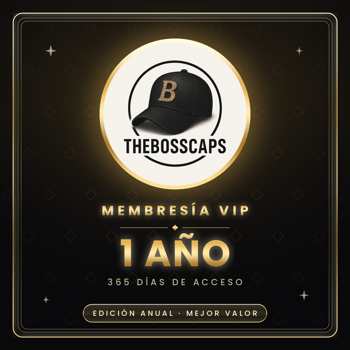 Membresia VIP (1 AÑO)