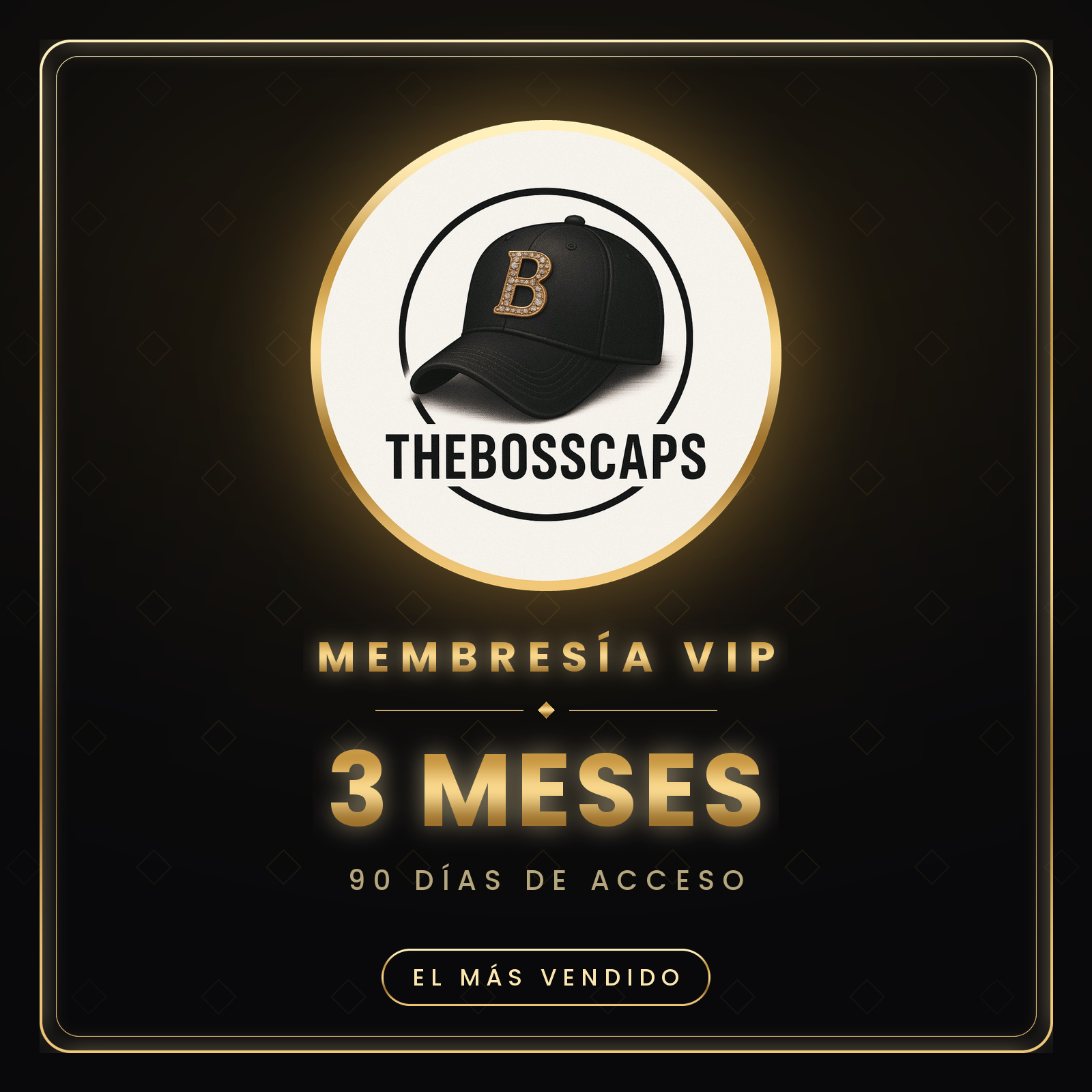 Membresia VIP (3 MESES)